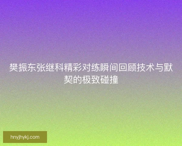 樊振东张继科精彩对练瞬间回顾技术与默契的极致碰撞 樊振东张继科精彩对练瞬间回顾技术与默契的极致碰撞